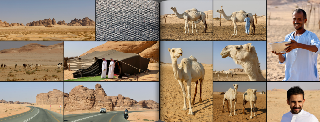 schermafbeelding 2026 01 26 om 21.01.19